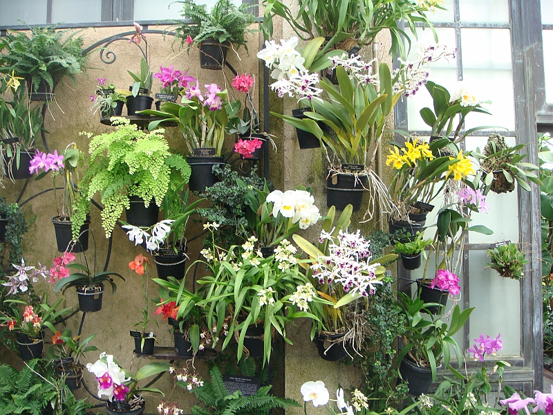 300 Longwood Gardens [2008 August 23].JPG - Longwood Gardens in Pennsylvania